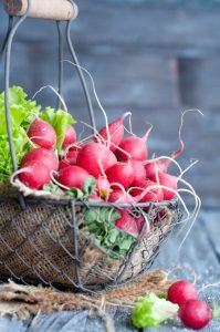 Calendrier des saisons du mois d’avril