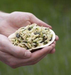 Salade crue de courgette et chou rave à la noisette