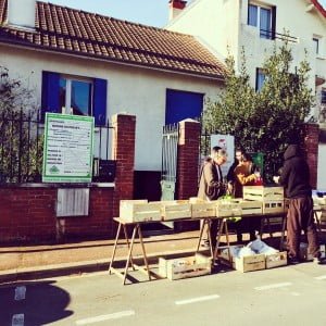 Les difficultés de construire une maison en bois…