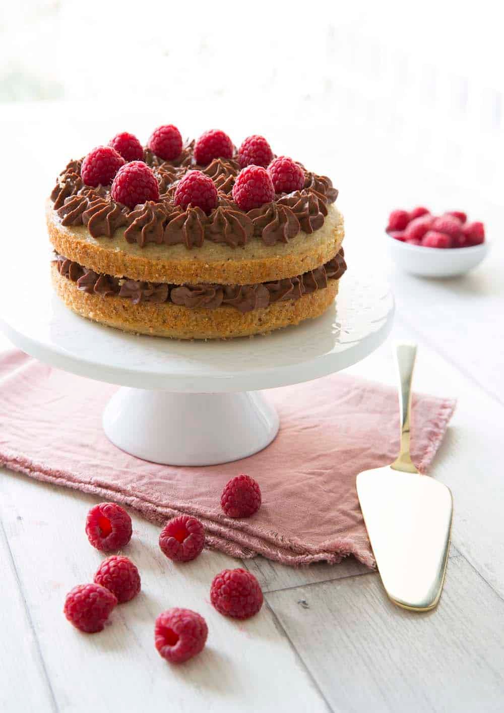 Layer Cake Vegan Sans Gluten Noisette Chocolat Framboises Recettes De Cuisine Biodelices